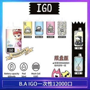 B.A IGD12000口 一次性拋棄式 電子煙