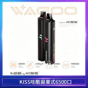 WAGOO哇酷Kiss5 6500口拋棄式 | 自由混搭雙口味 | 雙芯組合